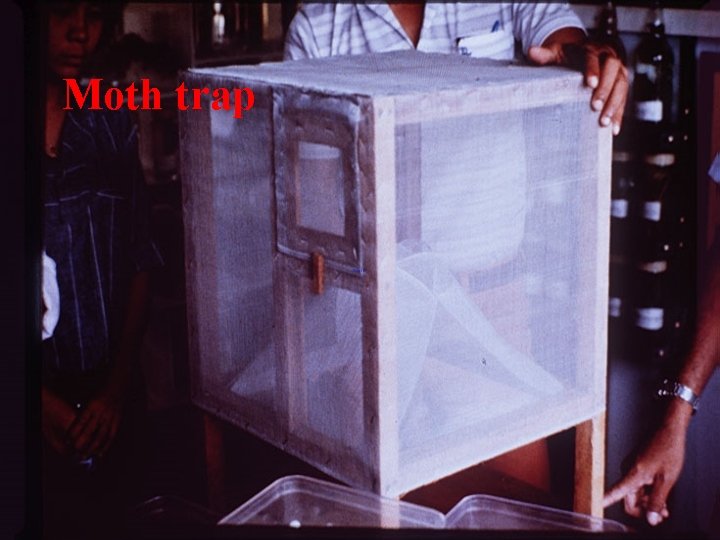 Moth trap 