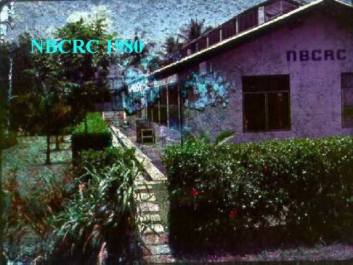 NBCRC 1980 