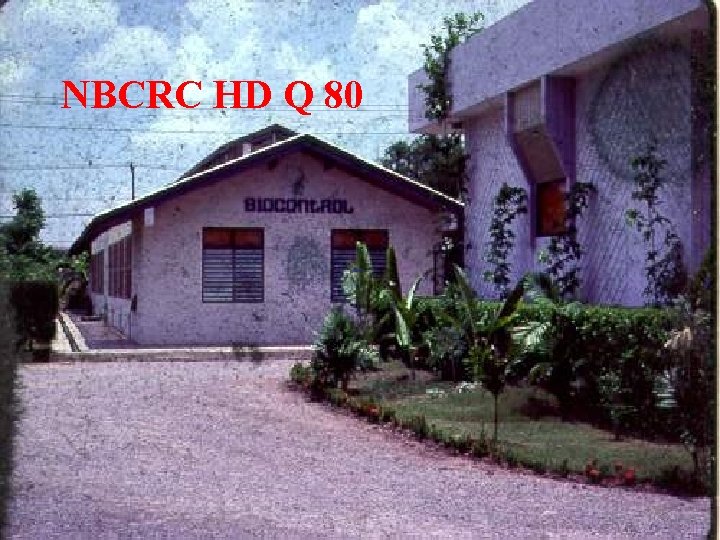 NBCRC HD Q 80 