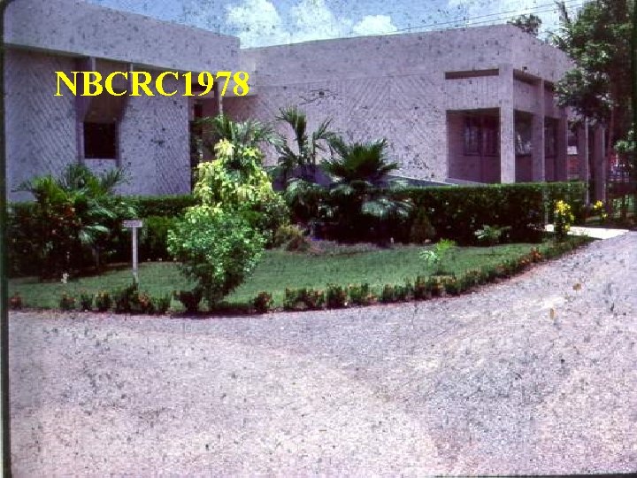 NBCRC 1978 