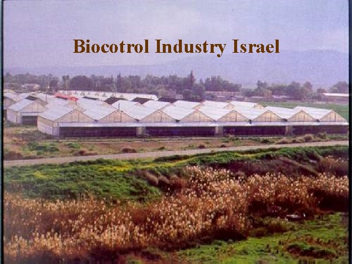 Biocotrol Industry Israel 