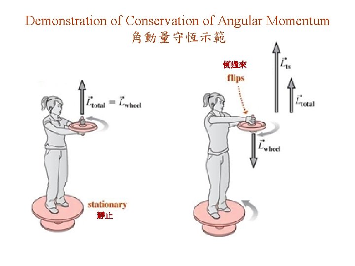 Demonstration of Conservation of Angular Momentum 角動量守恆示範 倒過來 靜止 