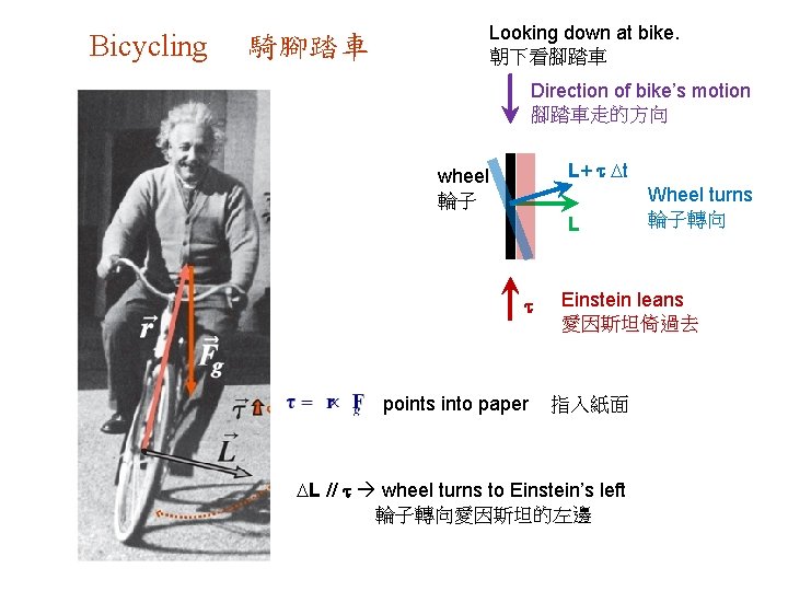 Bicycling 騎腳踏車 Looking down at bike. 朝下看腳踏車 Direction of bike’s motion 腳踏車走的方向 L+ t