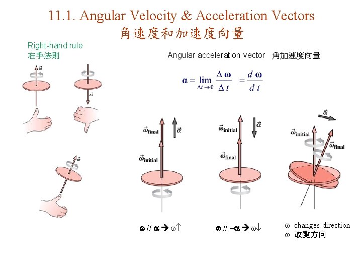 11. 1. Angular Velocity & Acceleration Vectors 角速度和加速度向量 Right-hand rule 右手法則 Angular acceleration vector