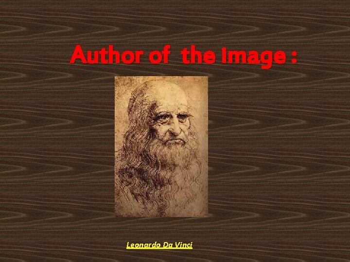 Author of the image : Leonardo Da Vinci 