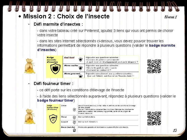  • Mission 2 : Choix de l'insecte • Niveau 1 Défi marmite d’insectes