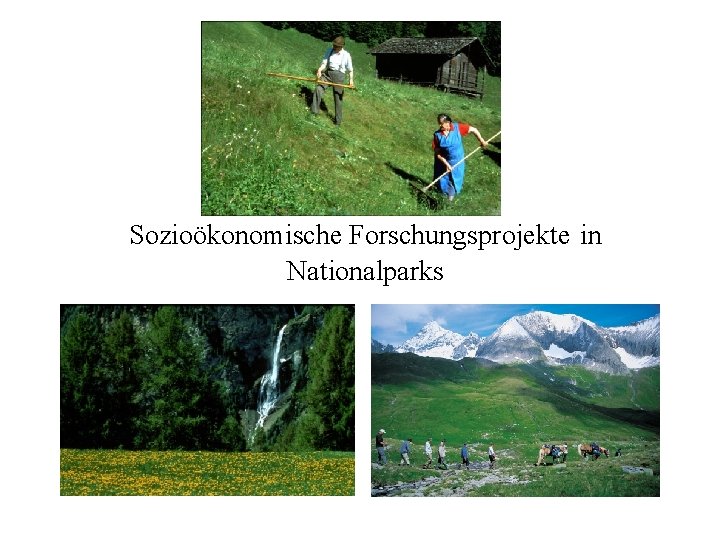 Sozioökonomische Forschungsprojekte in Nationalparks 