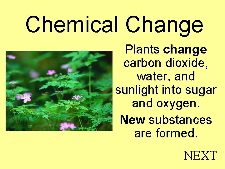 Chemical Change Plants change carbon dioxide, water, and sunlight into sugar and oxygen. New