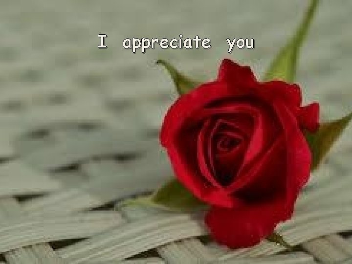 I appreciate you 