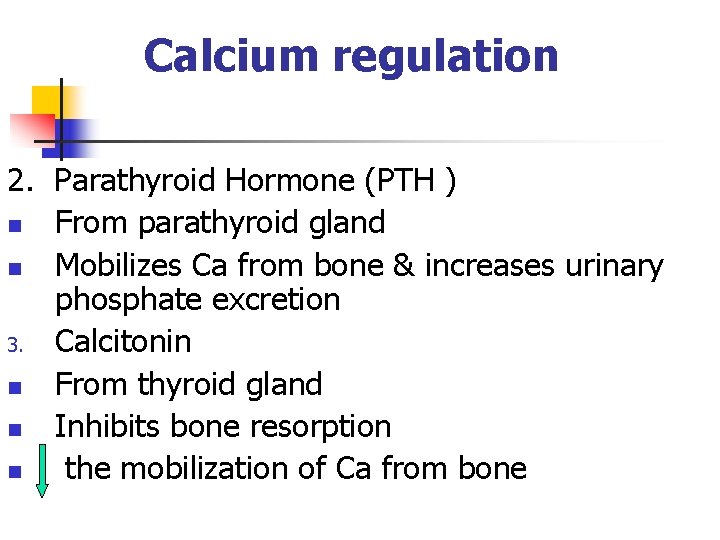 Calcium regulation 2. Parathyroid Hormone (PTH ) n From parathyroid gland n Mobilizes Ca