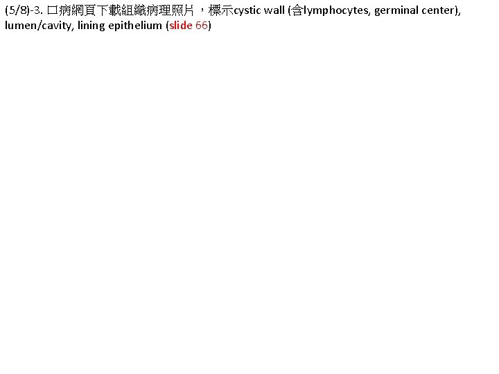 (5/8)-3. 口病網頁下載組織病理照片，標示cystic wall (含lymphocytes, germinal center), lumen/cavity, lining epithelium (slide 66) 