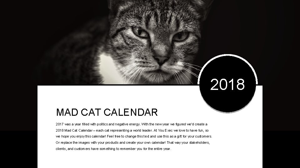 2018 MAD CAT CALENDAR 2017 was a year filled with politics and negative energy.