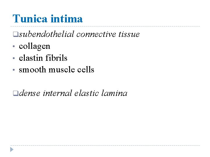 Tunica intima qsubendothelial • • • connective tissue collagen elastin fibrils smooth muscle cells