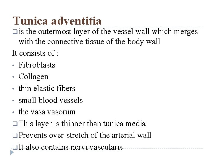 Tunica adventitia q is the outermost layer of the vessel wall which merges with