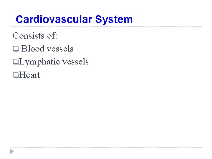 Cardiovascular System Consists of: q Blood vessels q. Lymphatic vessels q. Heart 