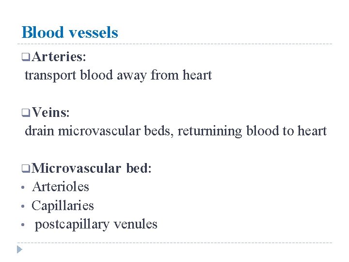 Blood vessels q Arteries: transport blood away from heart q Veins: drain microvascular beds,