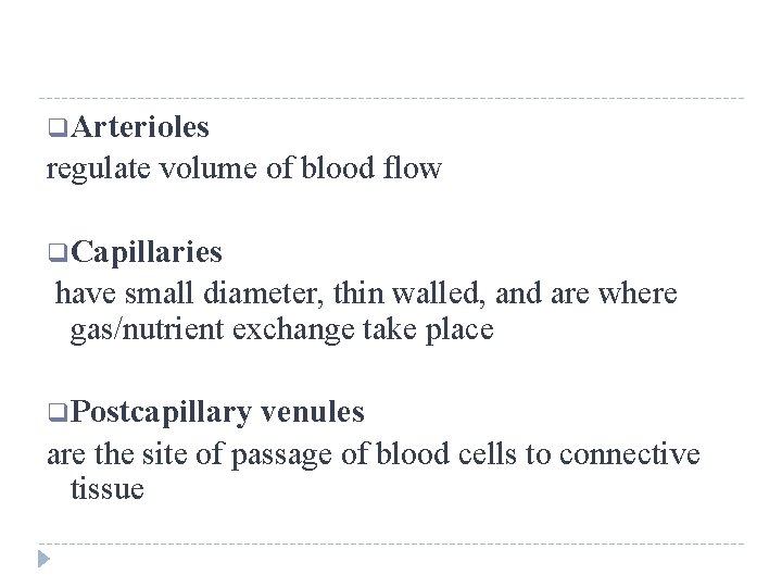 q Arterioles regulate volume of blood flow q Capillaries have small diameter, thin walled,