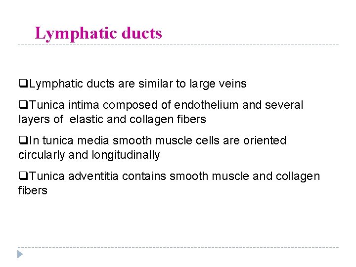 Lymphatic ducts q. Lymphatic ducts are similar to large veins q. Tunica intima composed