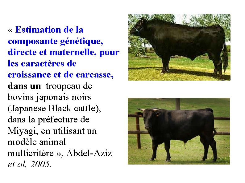  « Estimation de la composante génétique, directe et maternelle, pour les caractères de