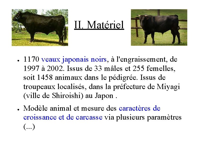 II. Matériel ● ● 1170 veaux japonais noirs, à l'engraissement, de 1997 à 2002.