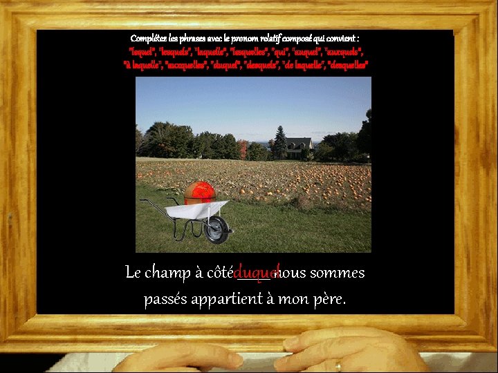 Complétez les phrases avec le pronom relatif composé qui convient : "lequel", "lesquels", "laquelle",