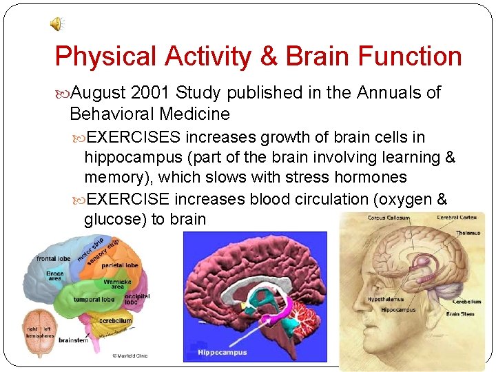 Physical Activity & Brain Function August 2001 Study published in the Annuals of Behavioral