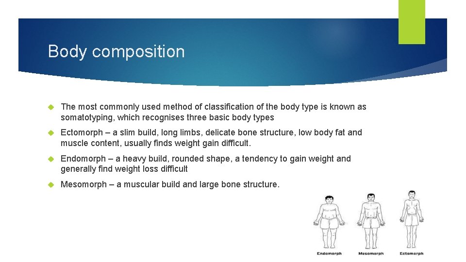 Body composition The most commonly used method of classification of the body type is