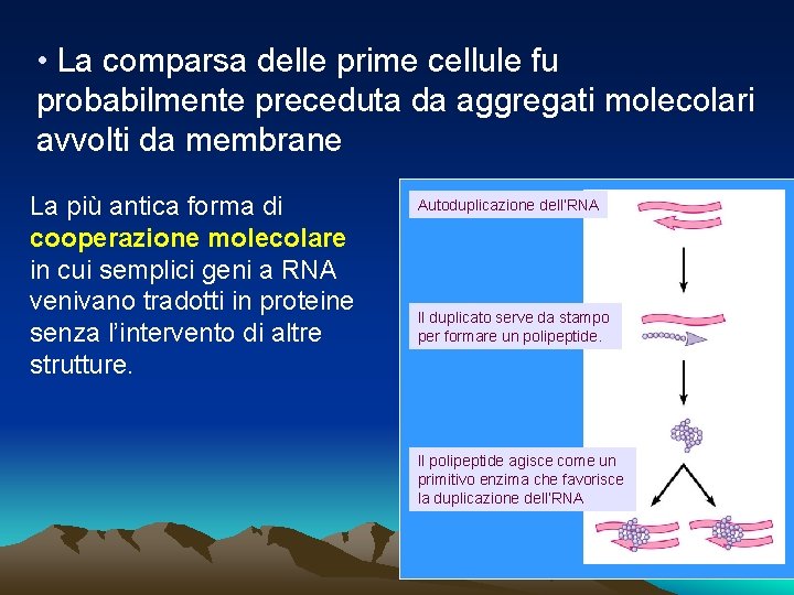  • La comparsa delle prime cellule fu probabilmente preceduta da aggregati molecolari avvolti