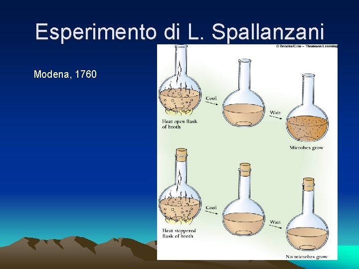 Esperimento di L. Spallanzani Modena, 1760 