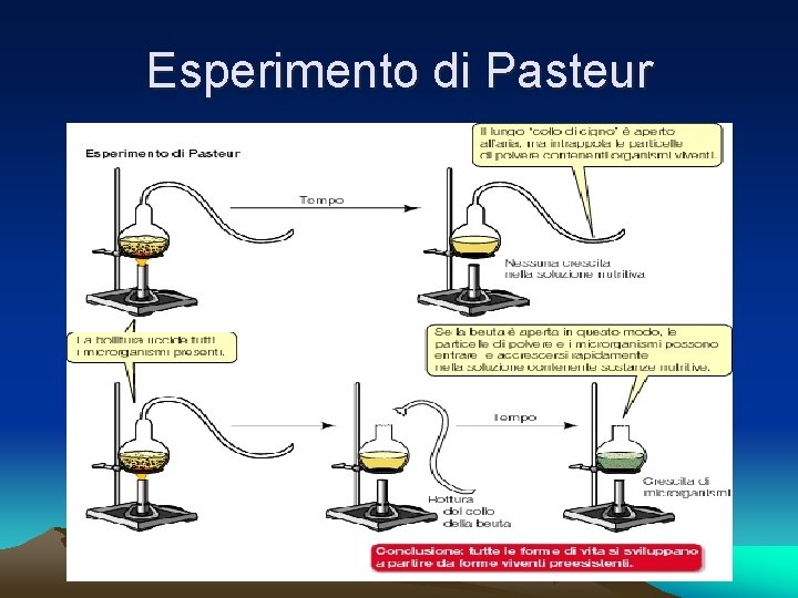 Esperimento di Pasteur 