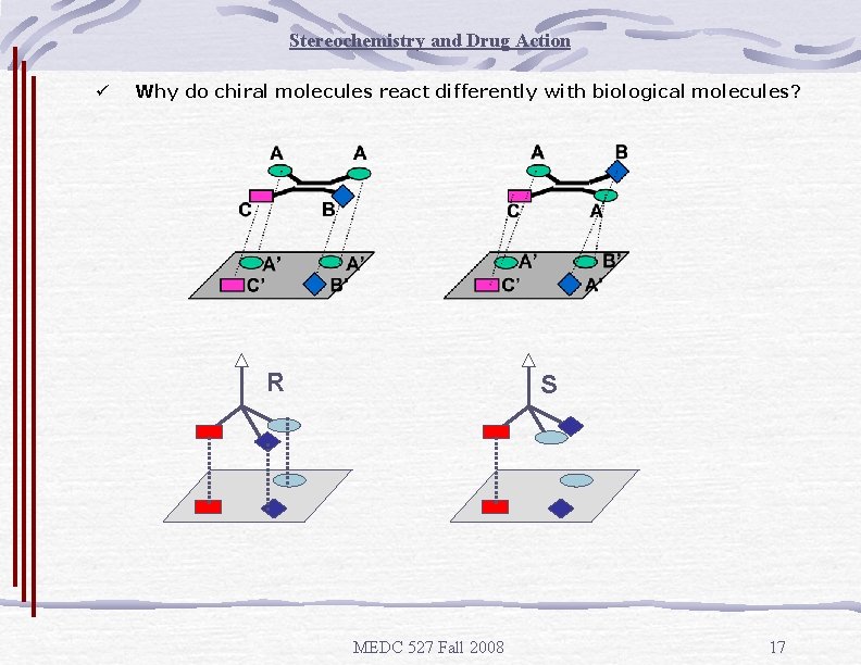 Stereochemistry and Drug Action ü Why do chiral molecules react differently with biological molecules?