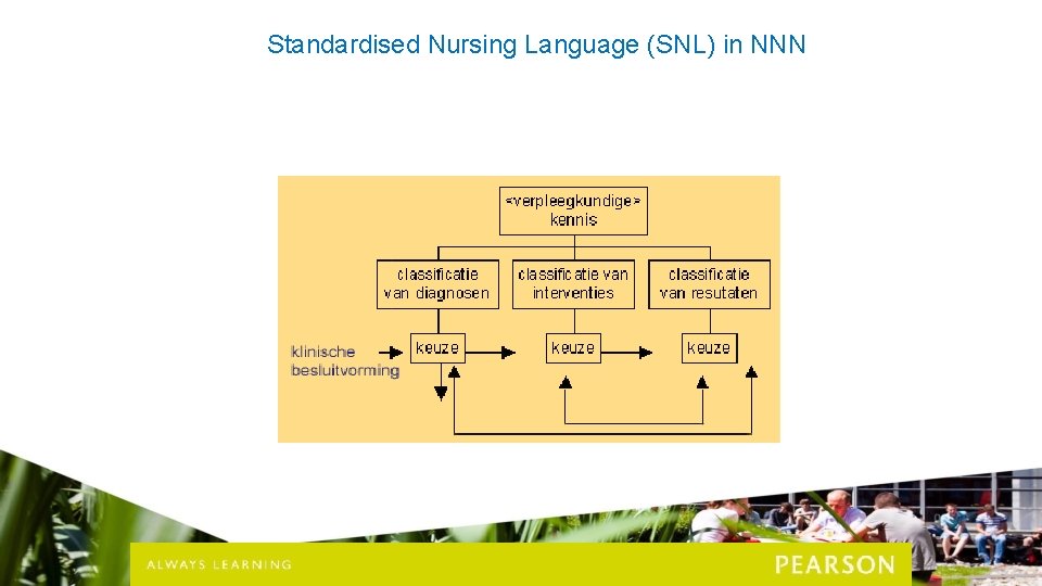 Standardised Nursing Language (SNL) in NNN 