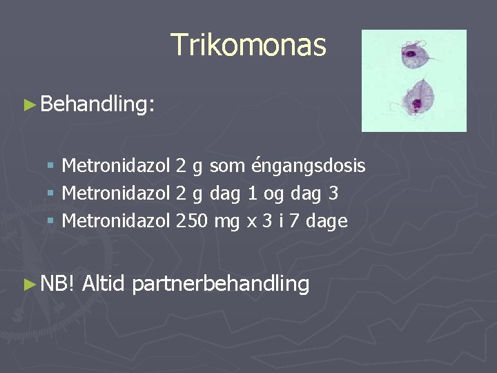 Trikomonas ► Behandling: § Metronidazol 2 g som éngangsdosis § Metronidazol 2 g dag