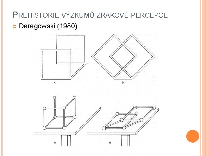 PREHISTORIE VÝZKUMŮ ZRAKOVÉ PERCEPCE Deregowski (1980). 