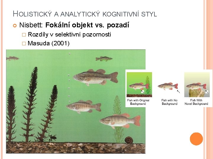 HOLISTICKÝ A ANALYTICKÝ KOGNITIVNÍ STYL Nisbett: Fokální objekt vs. pozadí � Rozdíly v selektivní