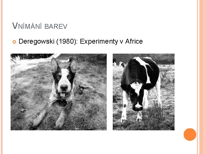 VNÍMÁNÍ BAREV Deregowski (1980): Experimenty v Africe 