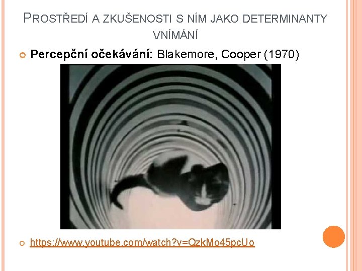 PROSTŘEDÍ A ZKUŠENOSTI S NÍM JAKO DETERMINANTY VNÍMÁNÍ Percepční očekávání: Blakemore, Cooper (1970) https: