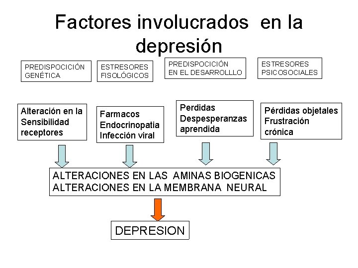 Factores involucrados en la depresión PREDISPOCICIÓN GENÉTICA Alteración en la Sensibilidad receptores ESTRESORES FISOLÓGICOS