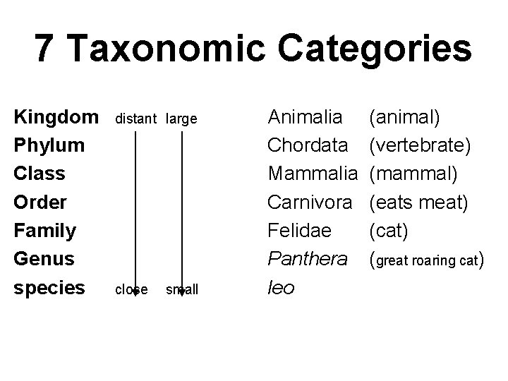 7 Taxonomic Categories Kingdom Phylum Class Order Family Genus species distant large close small