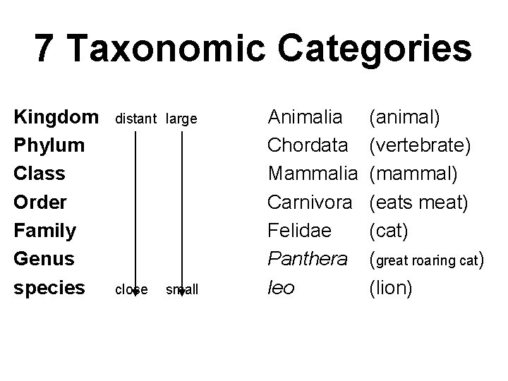 7 Taxonomic Categories Kingdom Phylum Class Order Family Genus species distant large close small