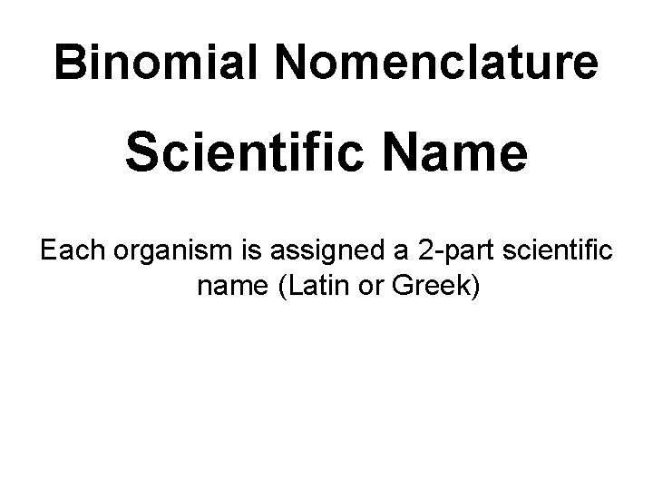 Binomial Nomenclature Scientific Name Each organism is assigned a 2 -part scientific name (Latin