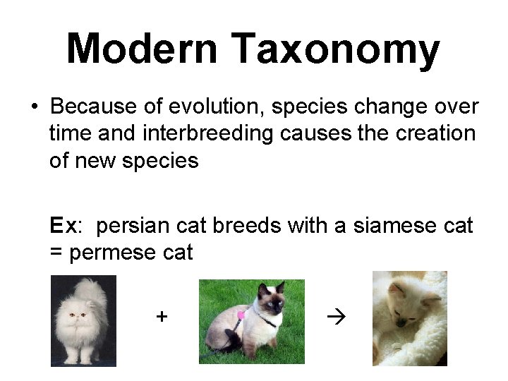 Modern Taxonomy • Because of evolution, species change over time and interbreeding causes the