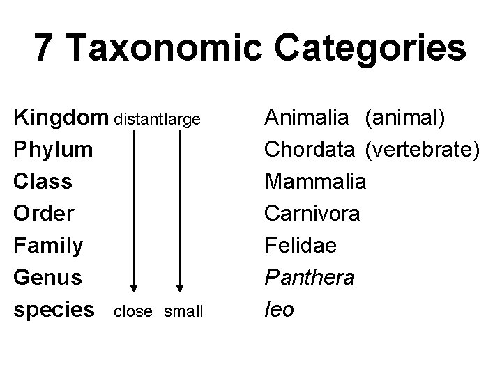 7 Taxonomic Categories Kingdom distantlarge Phylum Class Order Family Genus species close small Animalia