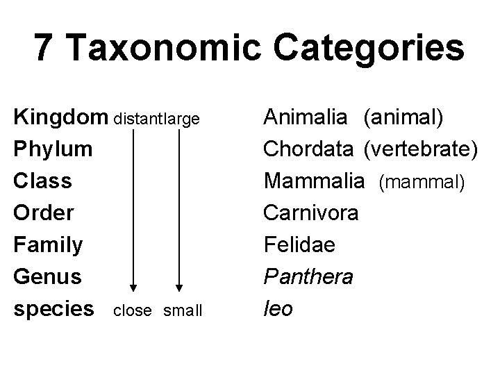 7 Taxonomic Categories Kingdom distantlarge Phylum Class Order Family Genus species close small Animalia