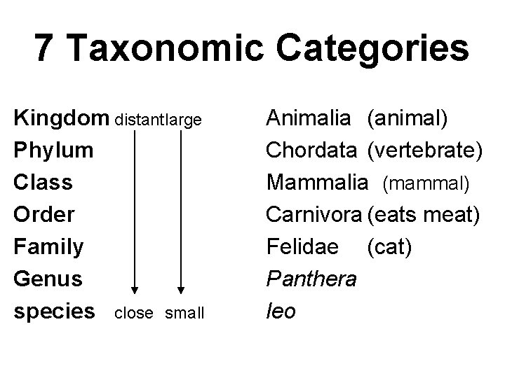 7 Taxonomic Categories Kingdom distantlarge Phylum Class Order Family Genus species close small Animalia