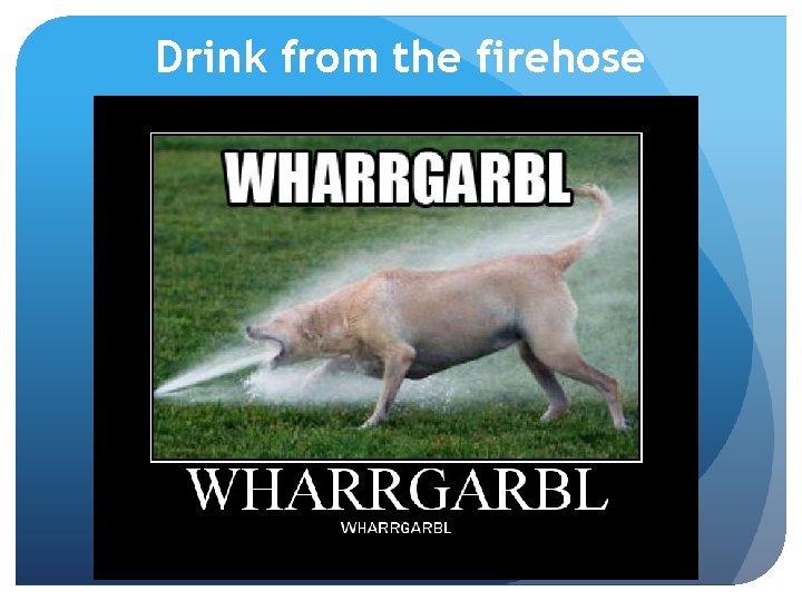 Drink from the firehose 