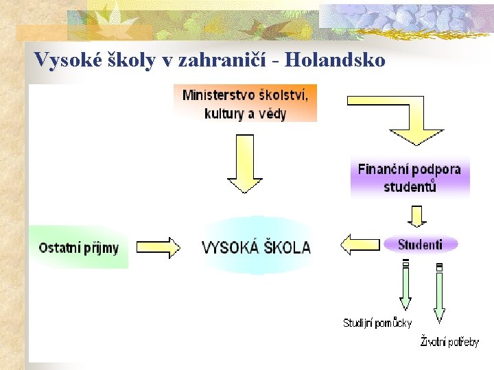 Vysoké školy v zahraničí - Holandsko 