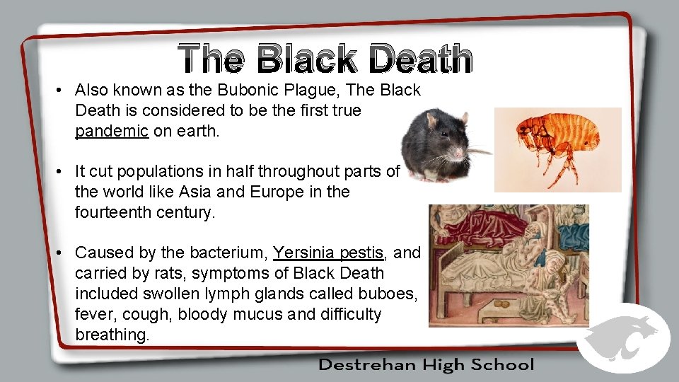 The Black Death • Also known as the Bubonic Plague, The Black Death is