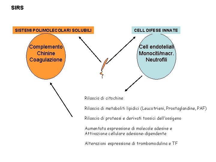 SIRS SISTEMI POLIMOLECOLARI SOLUBILI Complemento Chinine Coagulazione CELL DIFESE INNATE Cell endoteliali Monociti/macr. Neutrofili