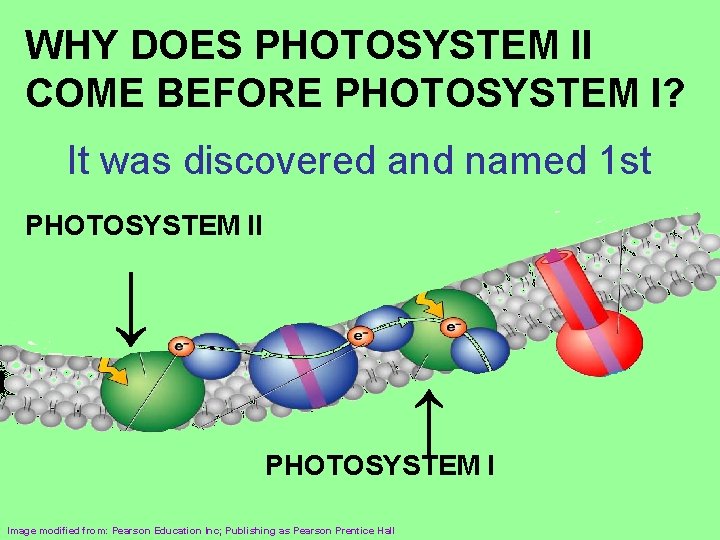 WHY DOES PHOTOSYSTEM II COME BEFORE PHOTOSYSTEM I? It was discovered and named 1